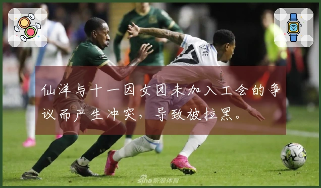 仙洋与十一因女团未加入工会的争议而产生冲突，导致被拉黑。